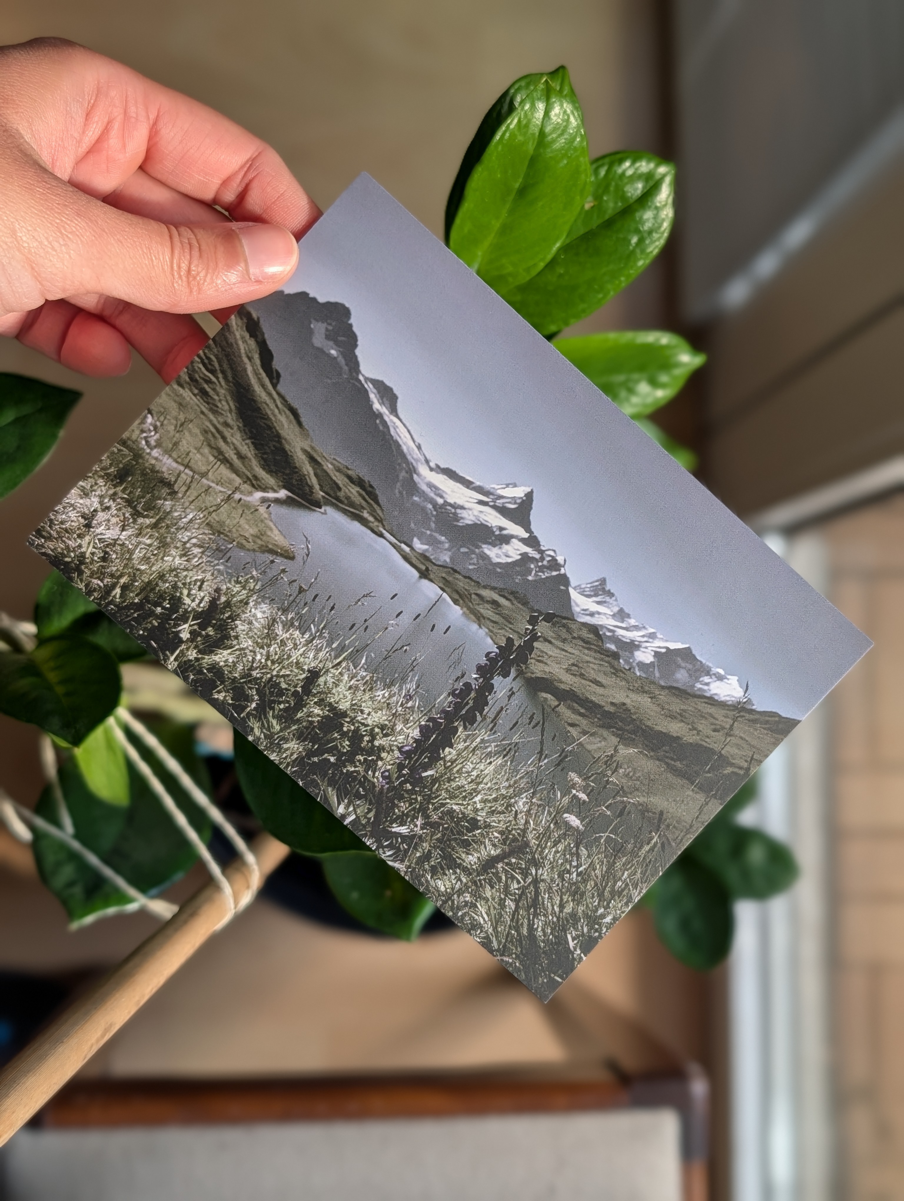Postkartenmotiv: Schweiz, Bachalpsee