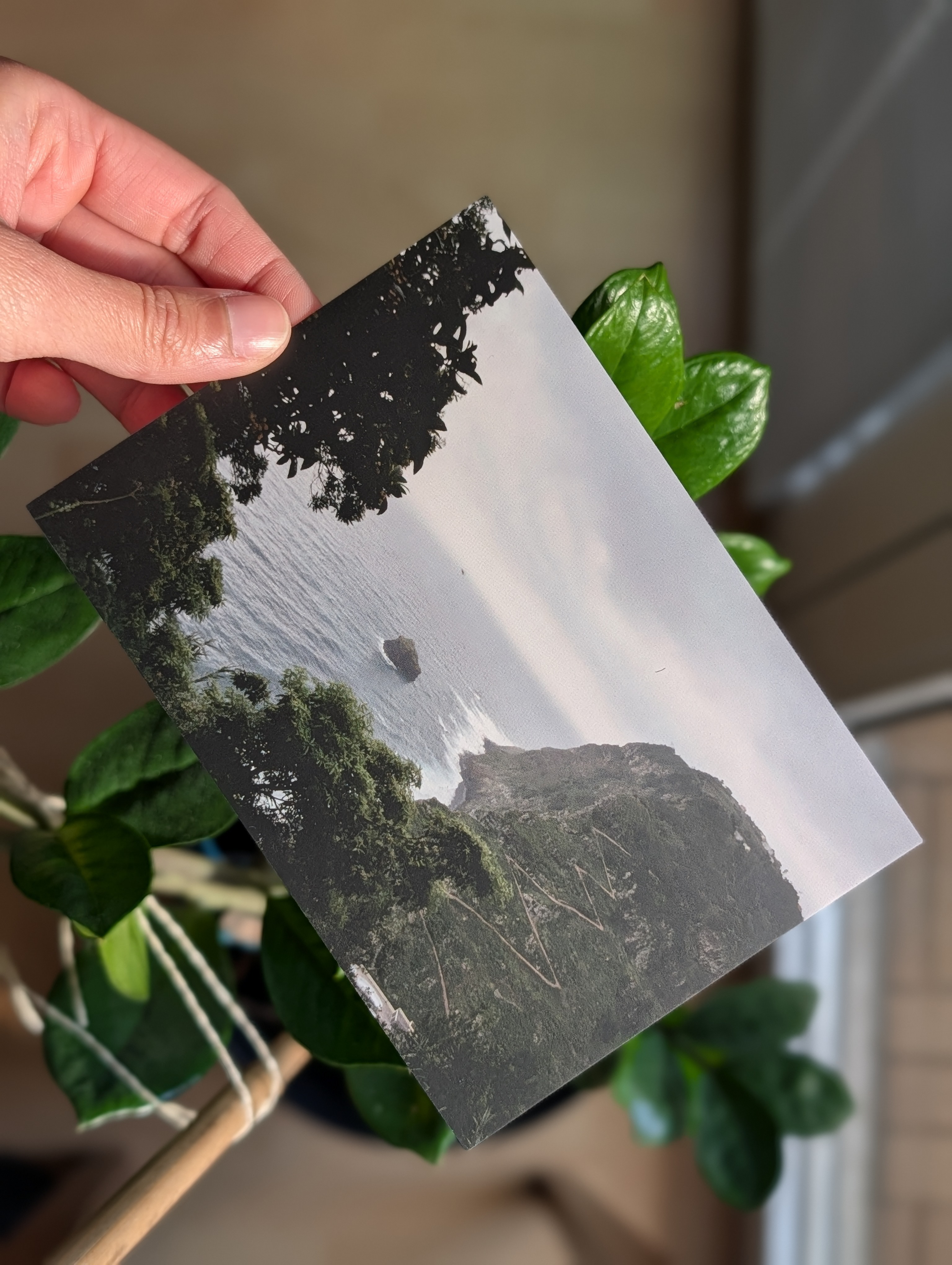 Postkartenmotiv: Madeira, Boaventura nach São Jorge